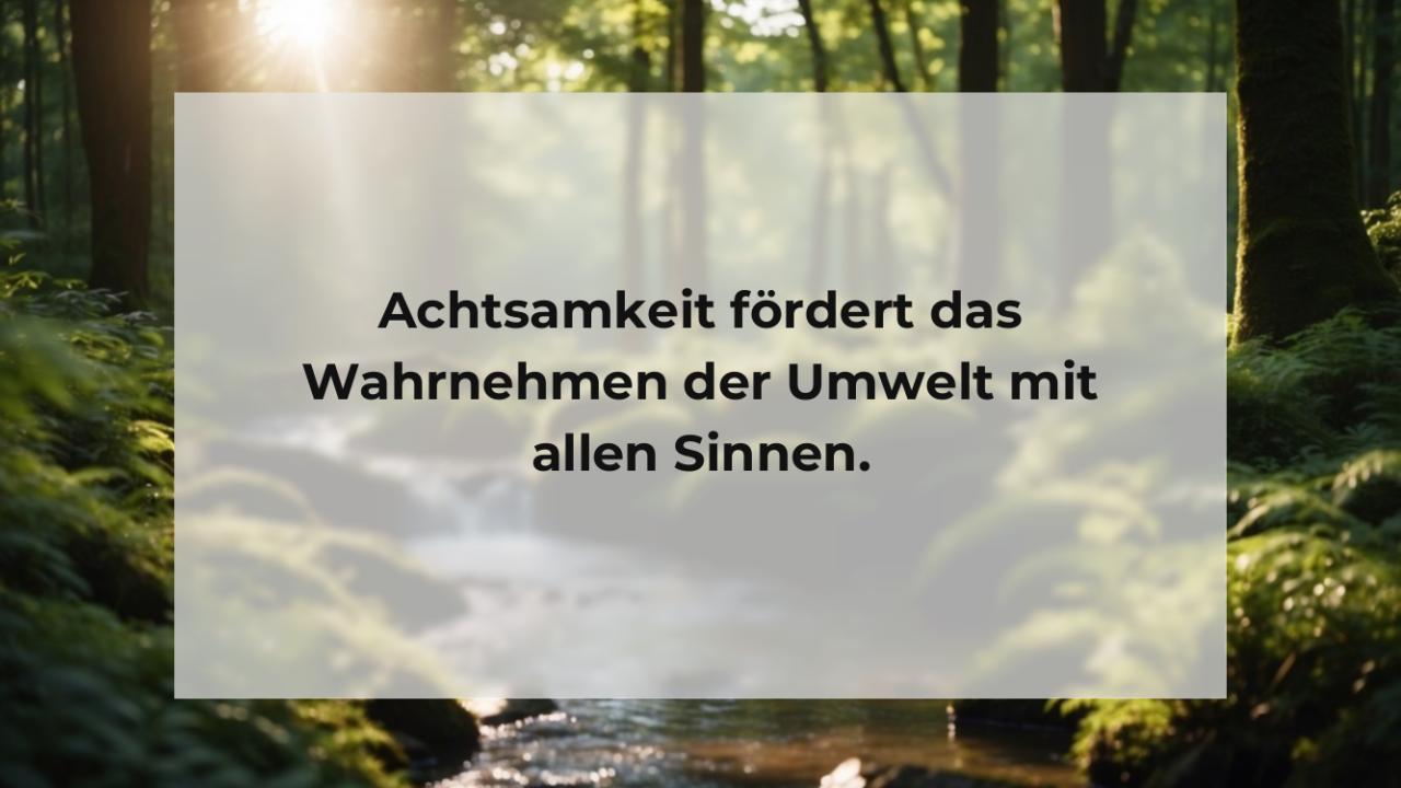 Achtsamkeit fördert das Wahrnehmen der Umwelt mit allen Sinnen.