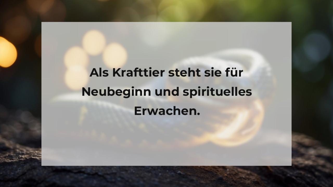 Als Krafttier steht sie für Neubeginn und spirituelles Erwachen.