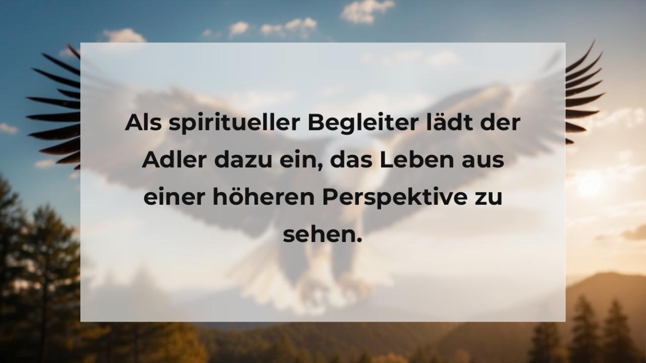 Als spiritueller Begleiter lädt der Adler dazu ein, das Leben aus einer höheren Perspektive zu sehen.