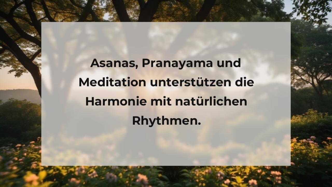 Asanas, Pranayama und Meditation unterstützen die Harmonie mit natürlichen Rhythmen.