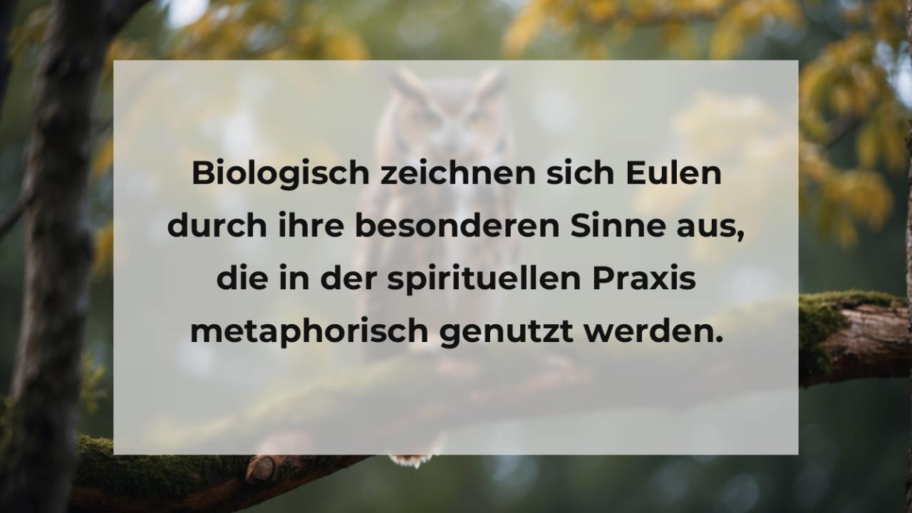 Biologisch zeichnen sich Eulen durch ihre besonderen Sinne aus, die in der spirituellen Praxis metaphorisch genutzt werden.