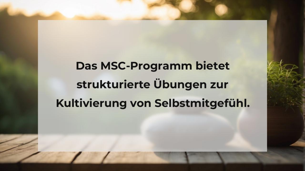 Das MSC-Programm bietet strukturierte Übungen zur Kultivierung von Selbstmitgefühl.