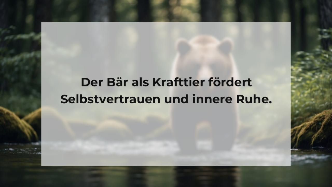 Der Bär als Krafttier fördert Selbstvertrauen und innere Ruhe.