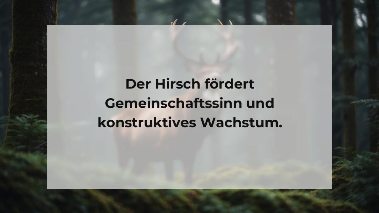 Der Hirsch fördert Gemeinschaftssinn und konstruktives Wachstum.