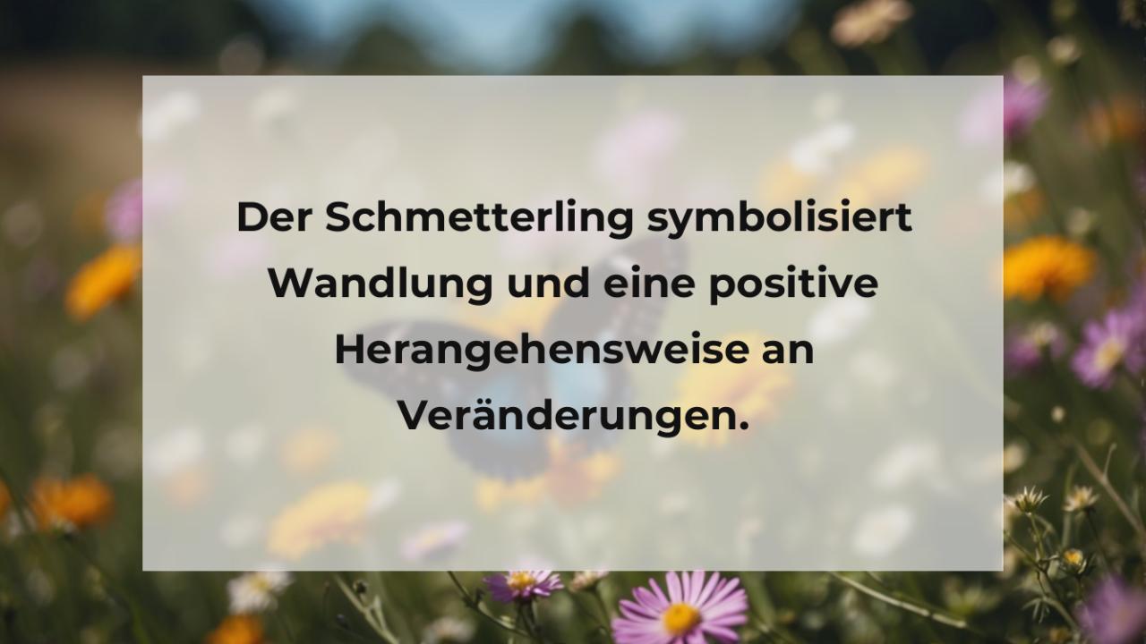 Der Schmetterling symbolisiert Wandlung und eine positive Herangehensweise an Veränderungen.