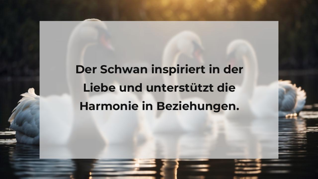 Der Schwan inspiriert in der Liebe und unterstützt die Harmonie in Beziehungen.