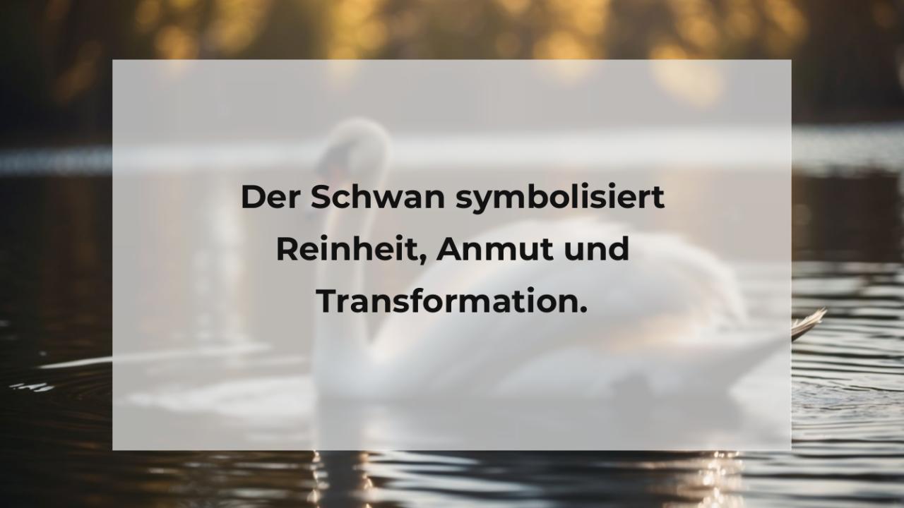 Der Schwan symbolisiert Reinheit, Anmut und Transformation.