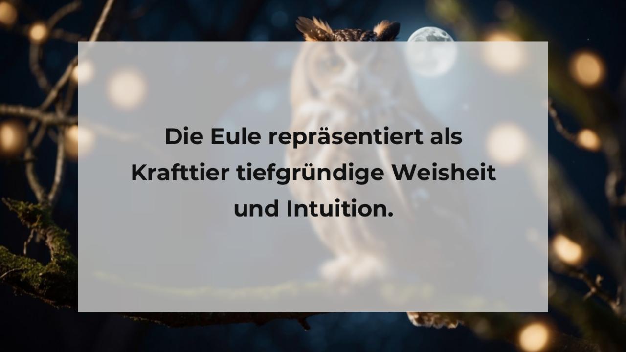 Die Eule repräsentiert als Krafttier tiefgründige Weisheit und Intuition.