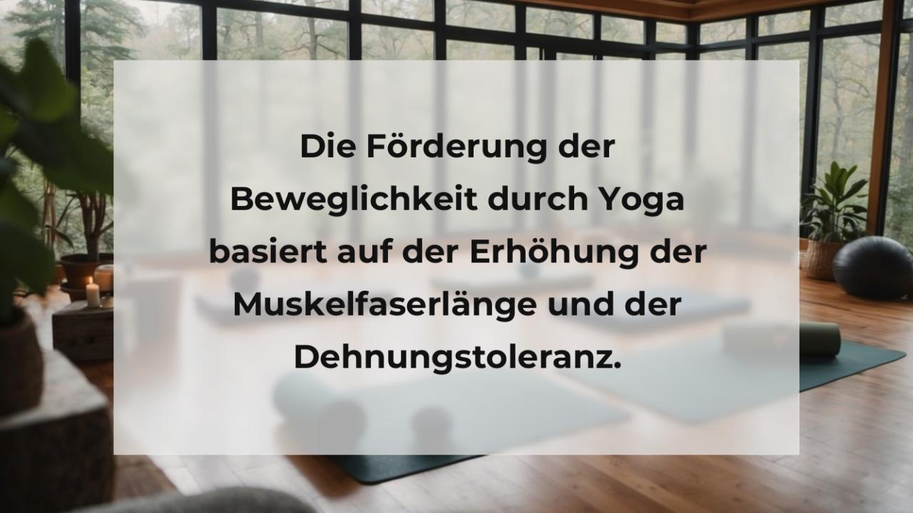 Die Förderung der Beweglichkeit durch Yoga basiert auf der Erhöhung der Muskelfaserlänge und der Dehnungstoleranz.