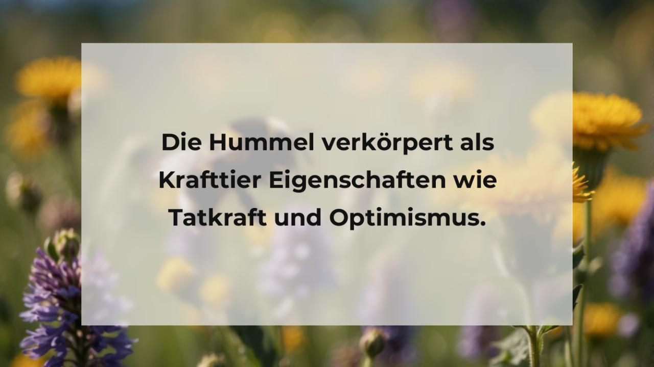 Die Hummel verkörpert als Krafttier Eigenschaften wie Tatkraft und Optimismus.