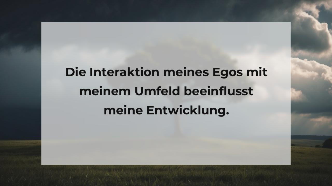 Die Interaktion meines Egos mit meinem Umfeld beeinflusst meine Entwicklung.