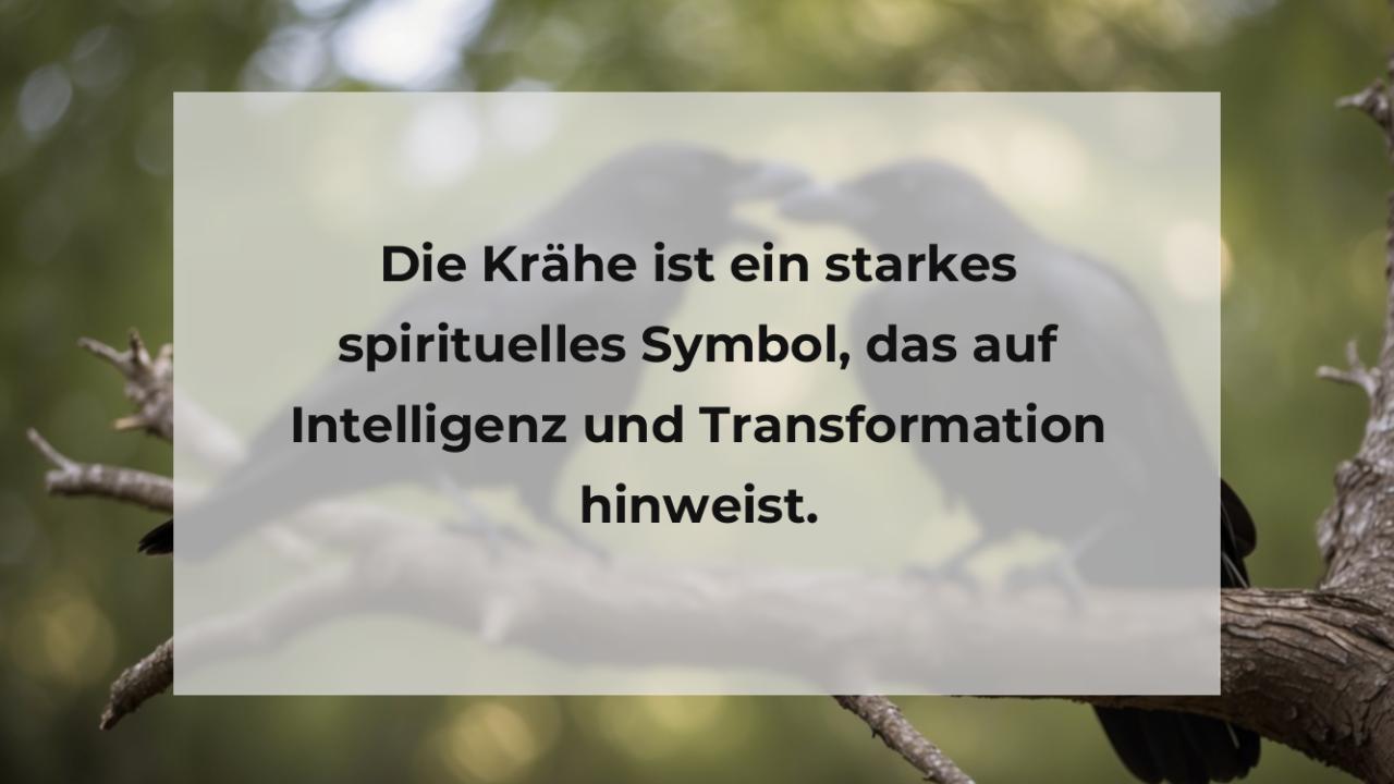 Die Krähe ist ein starkes spirituelles Symbol, das auf Intelligenz und Transformation hinweist.