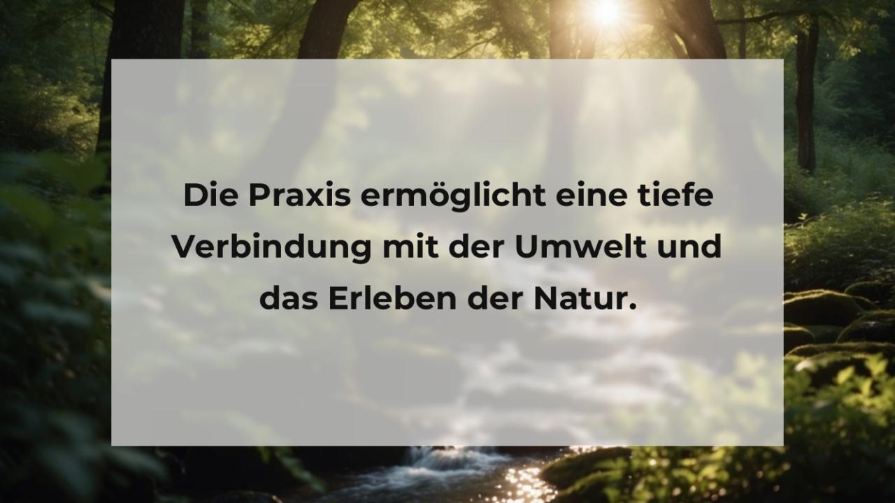 Die Praxis ermöglicht eine tiefe Verbindung mit der Umwelt und das Erleben der Natur.