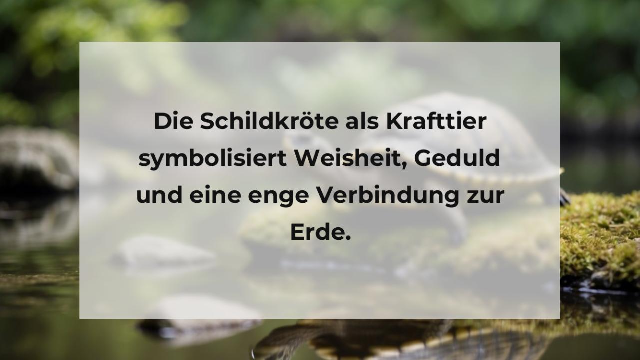 Die Schildkröte als Krafttier symbolisiert Weisheit, Geduld und eine enge Verbindung zur Erde.