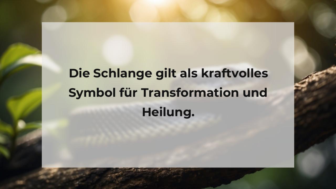 Die Schlange gilt als kraftvolles Symbol für Transformation und Heilung.