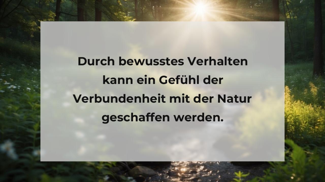 Durch bewusstes Verhalten kann ein Gefühl der Verbundenheit mit der Natur geschaffen werden.