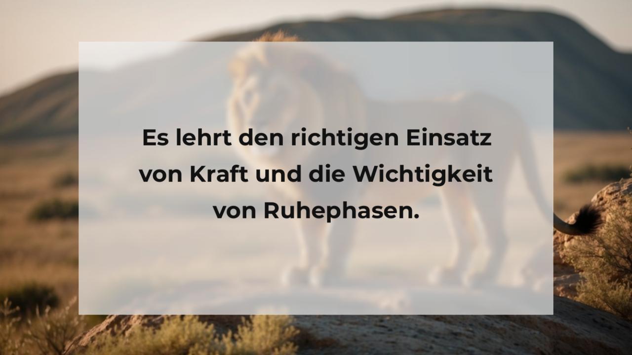 Es lehrt den richtigen Einsatz von Kraft und die Wichtigkeit von Ruhephasen.