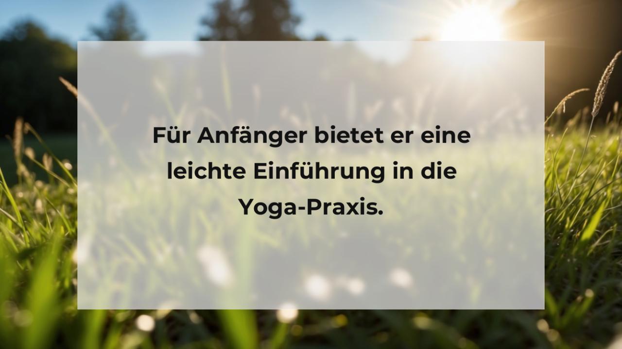 Für Anfänger bietet er eine leichte Einführung in die Yoga-Praxis.