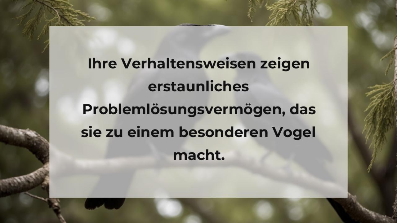 Ihre Verhaltensweisen zeigen erstaunliches Problemlösungsvermögen, das sie zu einem besonderen Vogel macht.