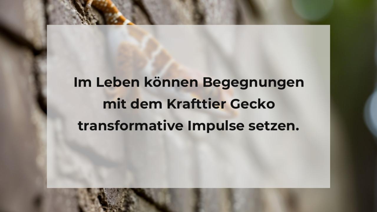 Im Leben können Begegnungen mit dem Krafttier Gecko transformative Impulse setzen.