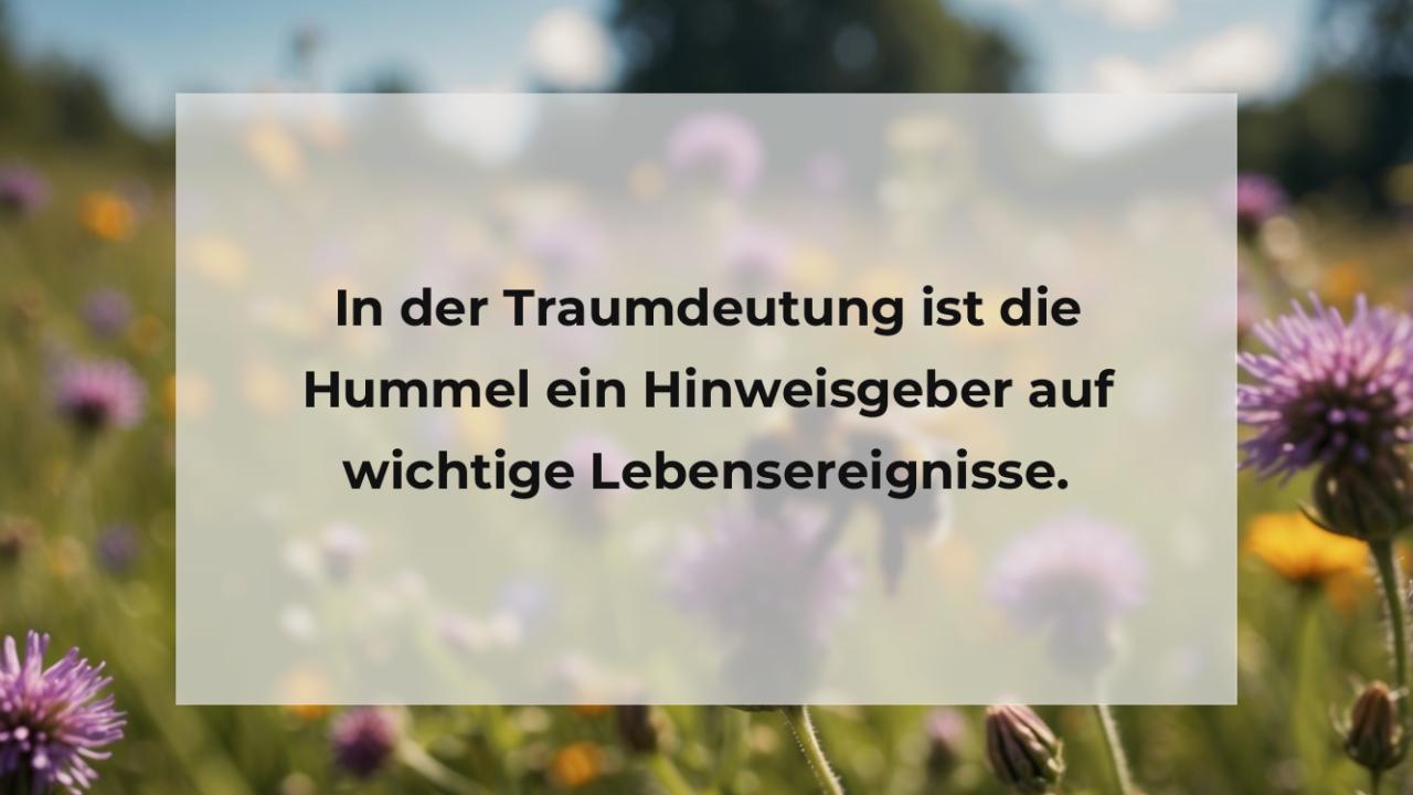 In der Traumdeutung ist die Hummel ein Hinweisgeber auf wichtige Lebensereignisse.