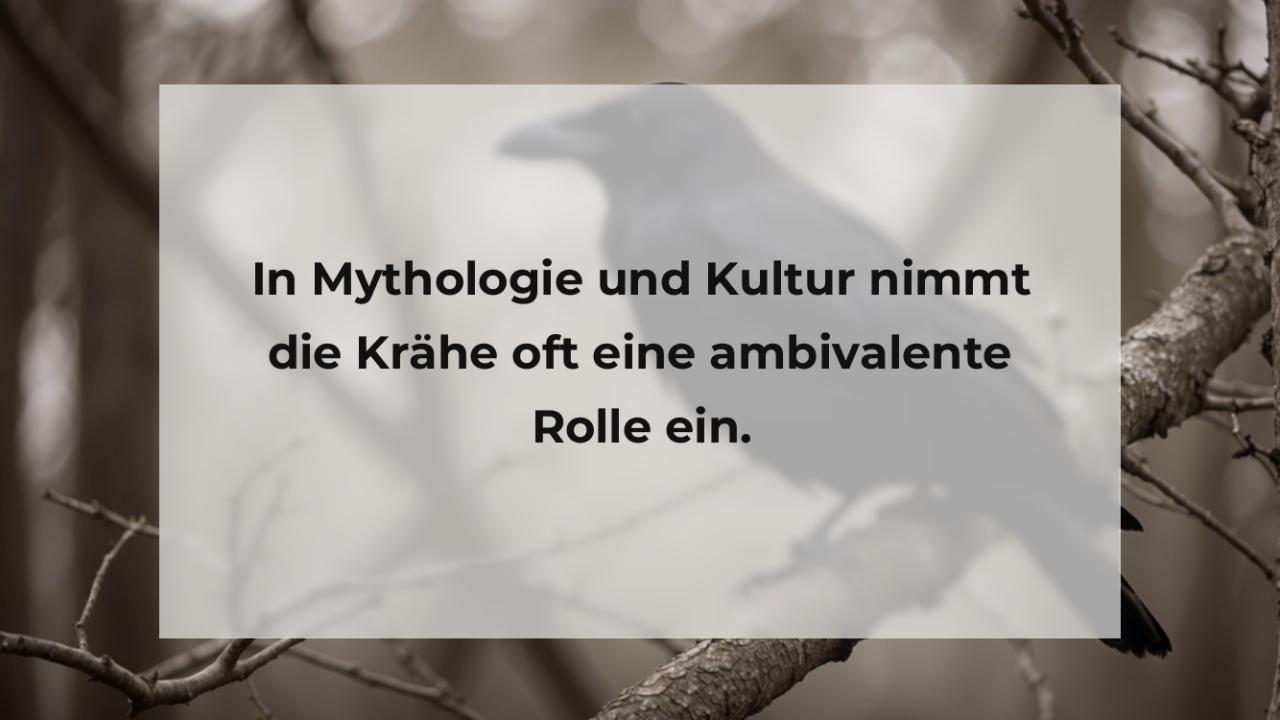 In Mythologie und Kultur nimmt die Krähe oft eine ambivalente Rolle ein.