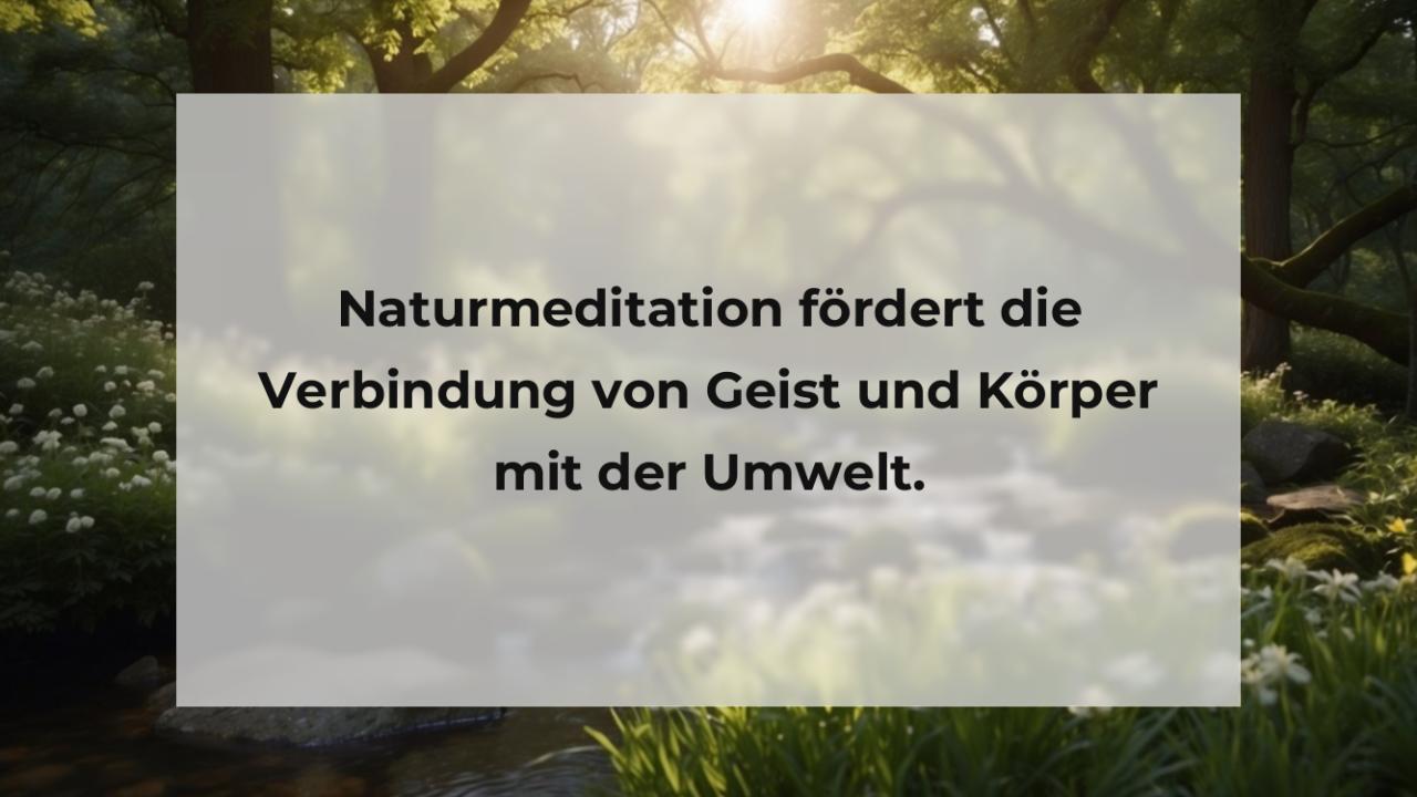 Naturmeditation fördert die Verbindung von Geist und Körper mit der Umwelt.