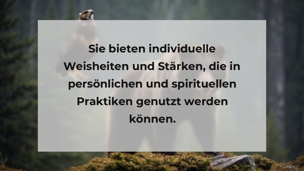 Sie bieten individuelle Weisheiten und Stärken, die in persönlichen und spirituellen Praktiken genutzt werden können.