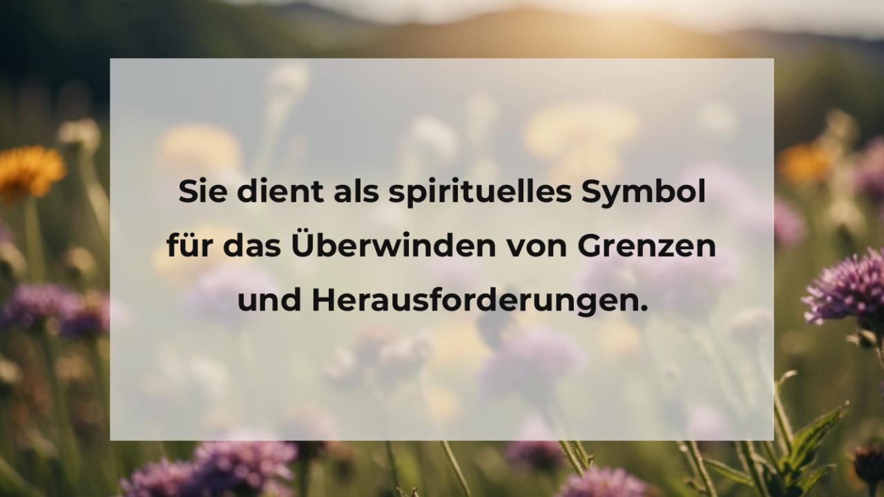 Sie dient als spirituelles Symbol für das Überwinden von Grenzen und Herausforderungen.