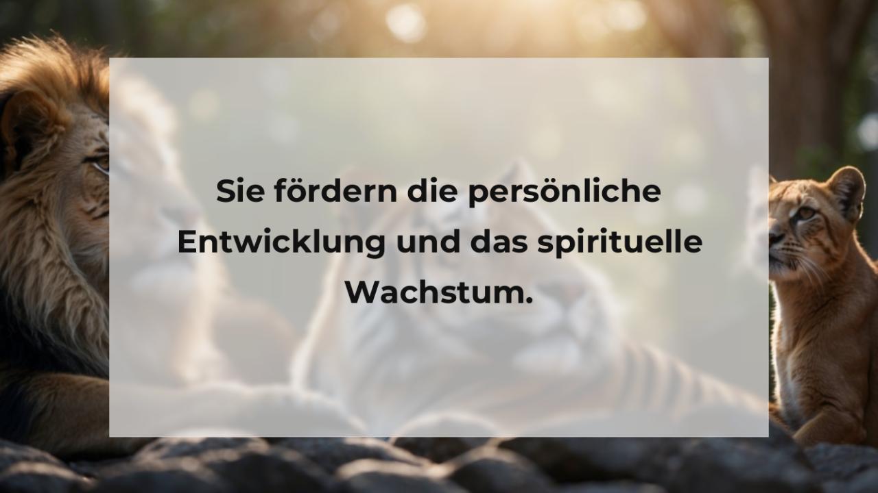 Sie fördern die persönliche Entwicklung und das spirituelle Wachstum.