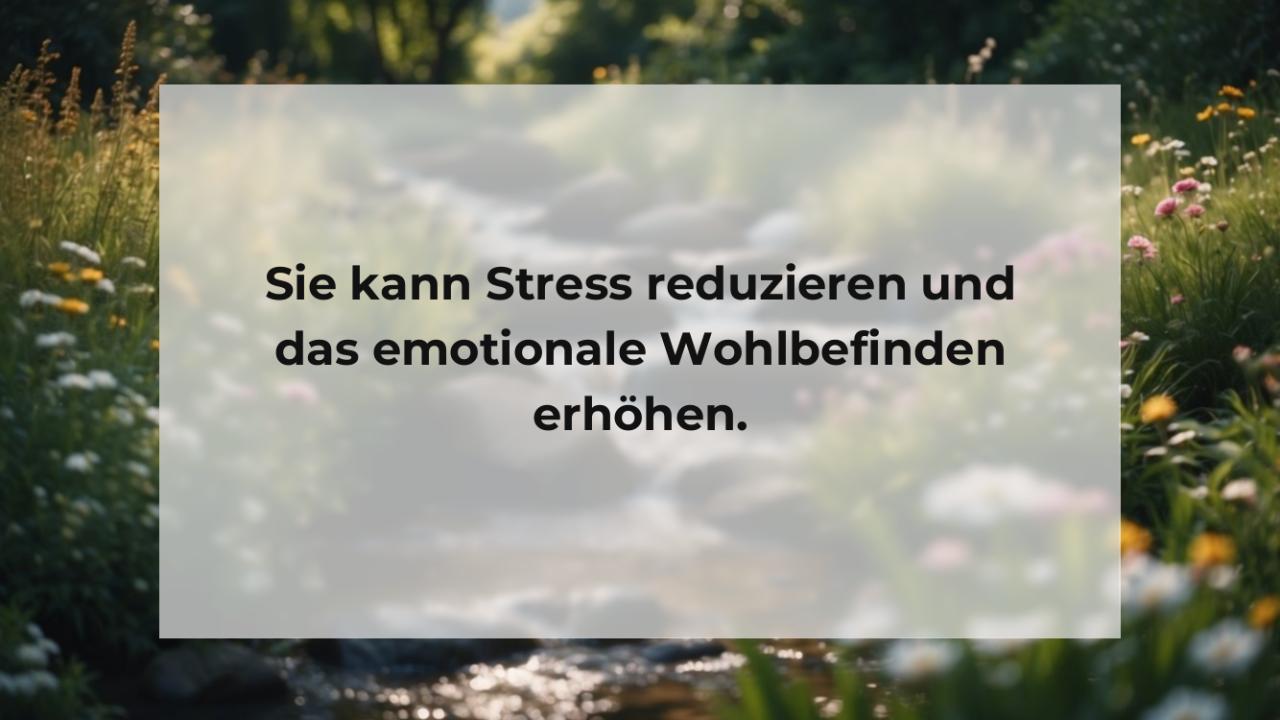 Sie kann Stress reduzieren und das emotionale Wohlbefinden erhöhen.