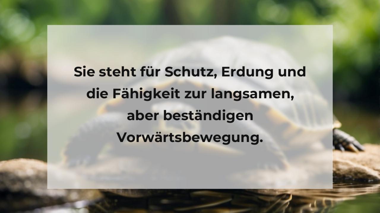 Sie steht für Schutz, Erdung und die Fähigkeit zur langsamen, aber beständigen Vorwärtsbewegung.