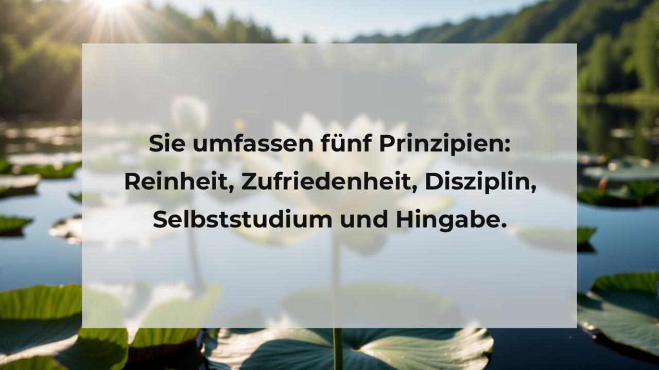 Sie umfassen fünf Prinzipien: Reinheit, Zufriedenheit, Disziplin, Selbststudium und Hingabe.