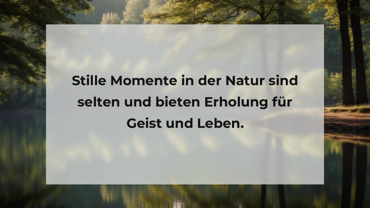 Stille Momente in der Natur sind selten und bieten Erholung für Geist und Leben.