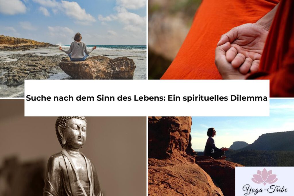 suche nach dem sinn des lebens