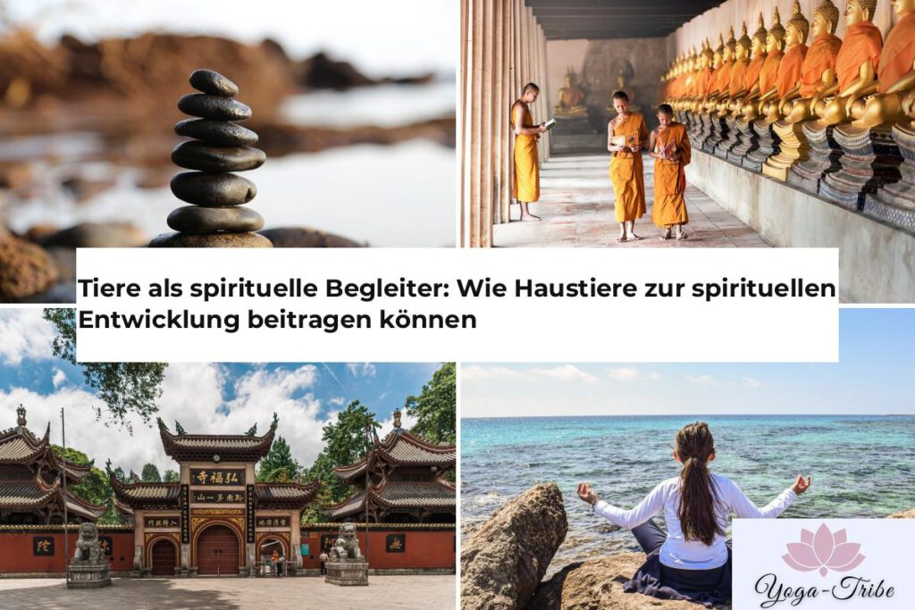 tiere als spirituelle begleiter