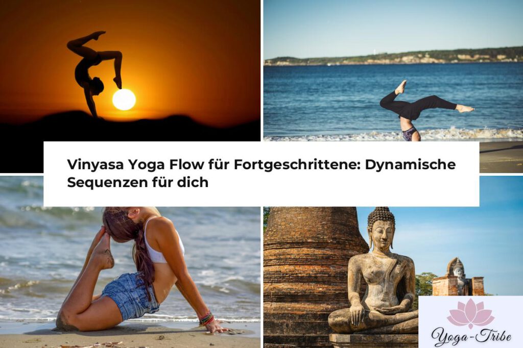 vinyasa yoga flow