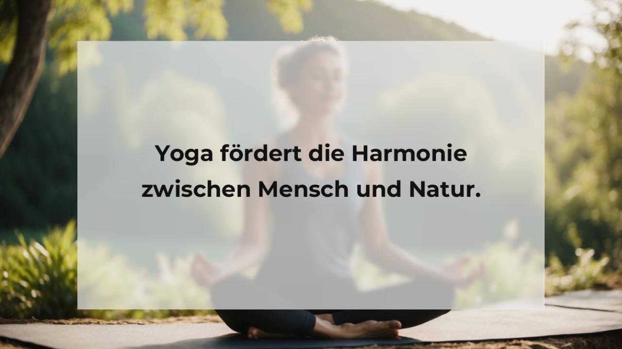 Yoga fördert die Harmonie zwischen Mensch und Natur.