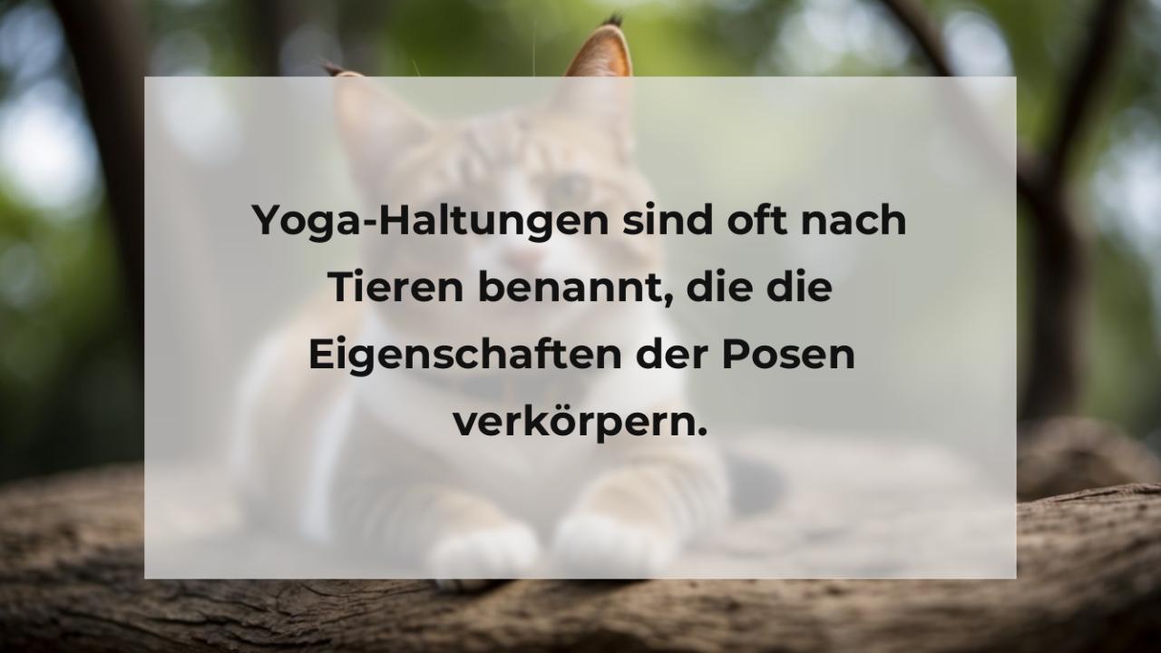 Yoga-Haltungen sind oft nach Tieren benannt, die die Eigenschaften der Posen verkörpern.