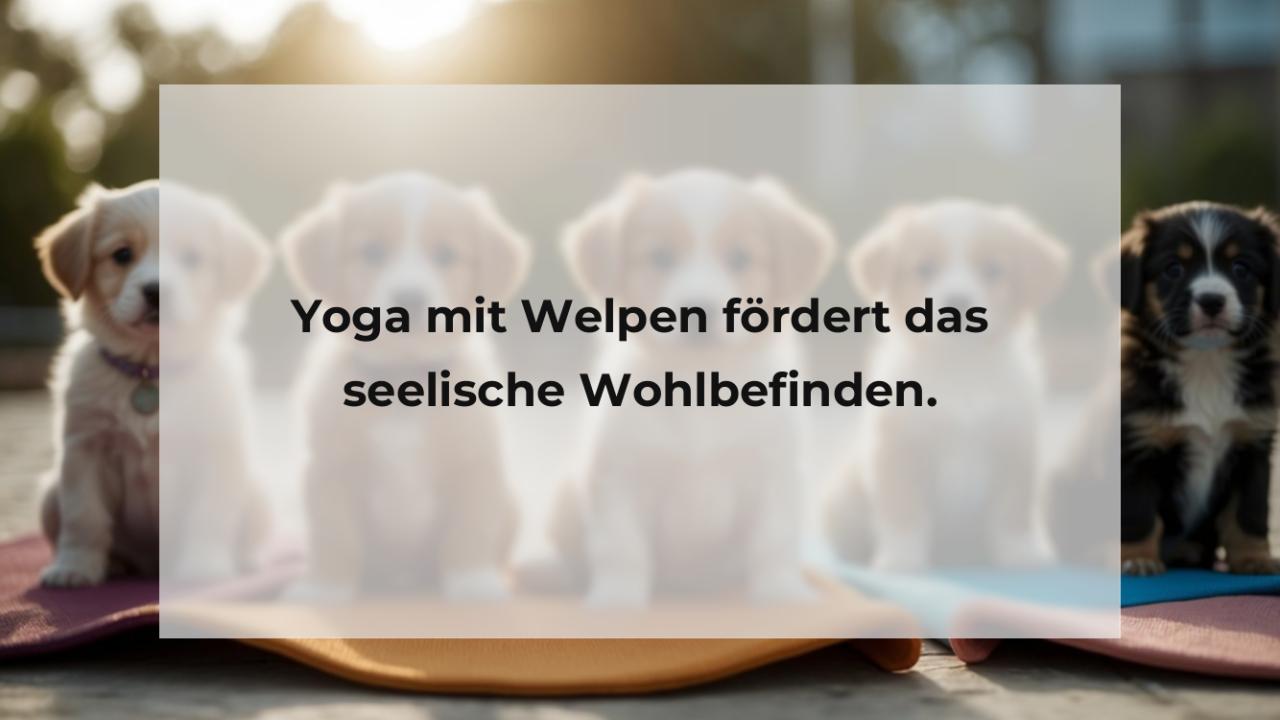 Yoga mit Welpen fördert das seelische Wohlbefinden.