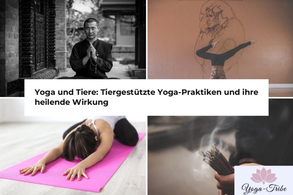 yoga und tiere