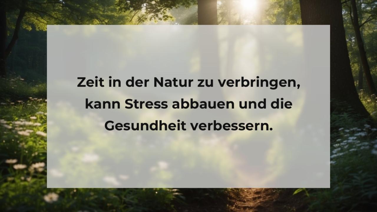 Zeit in der Natur zu verbringen, kann Stress abbauen und die Gesundheit verbessern.